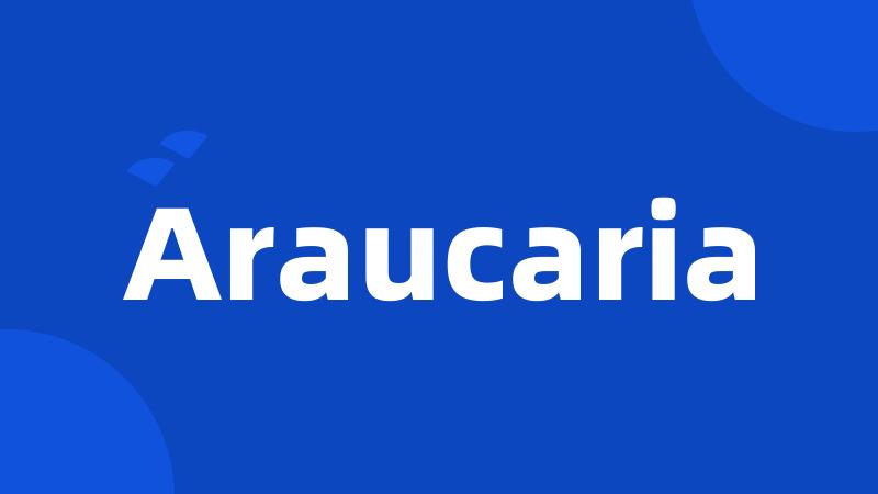 Araucaria