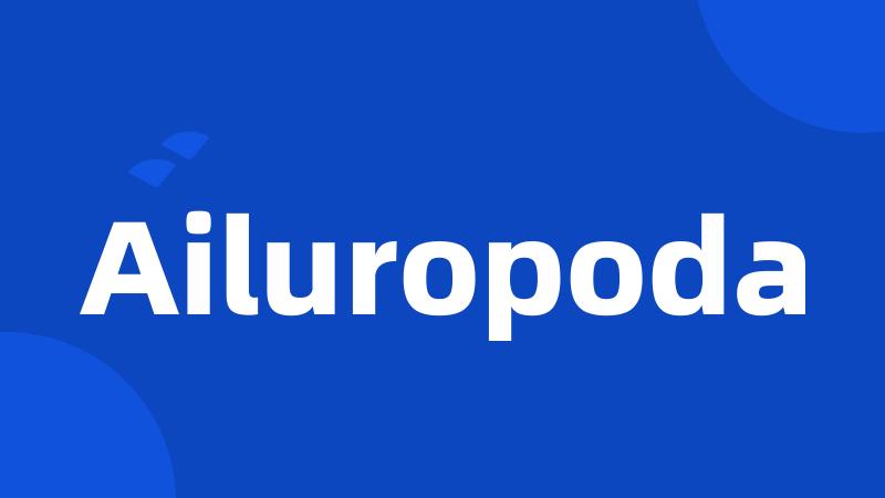 Ailuropoda