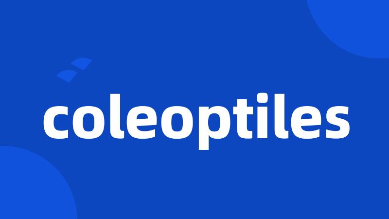 coleoptiles