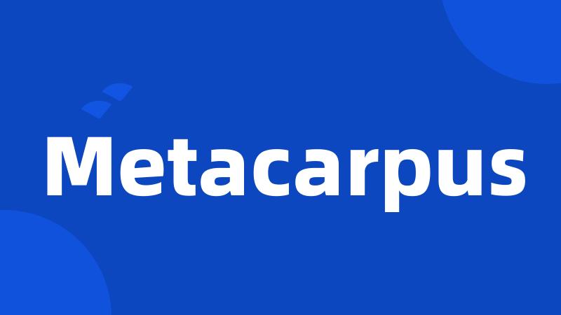 Metacarpus