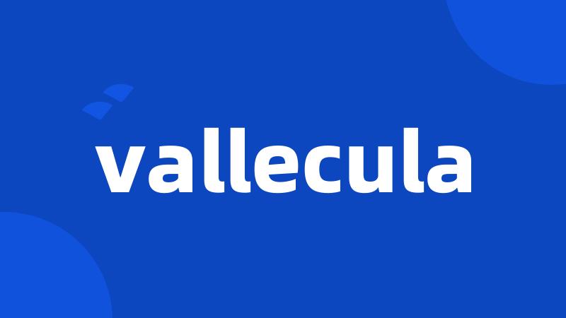 vallecula