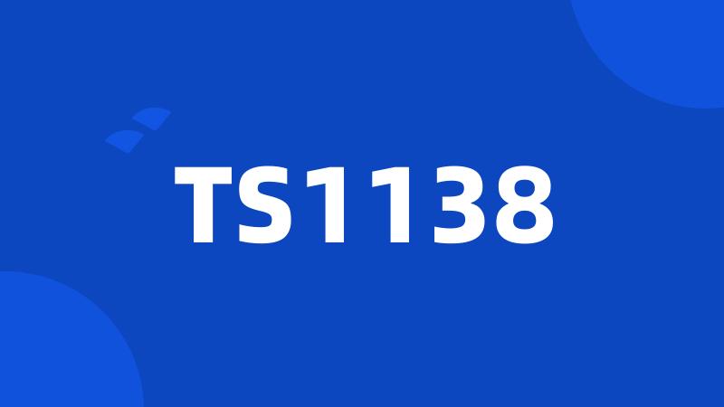 TS1138