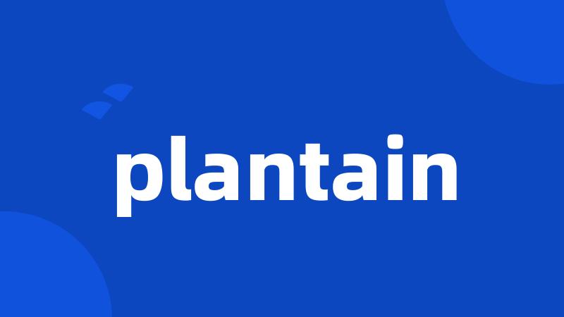 plantain