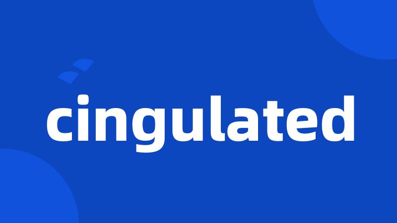 cingulated