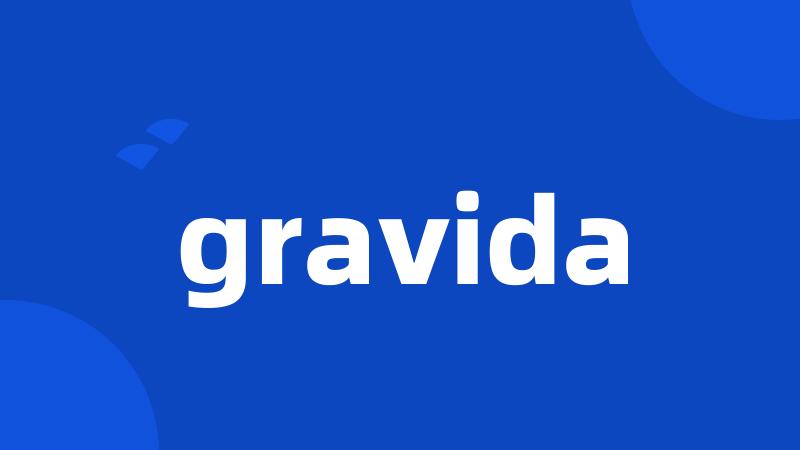 gravida