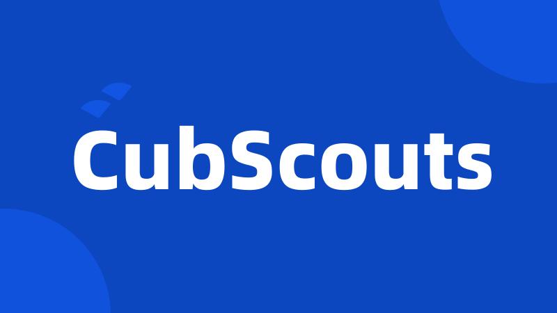 CubScouts