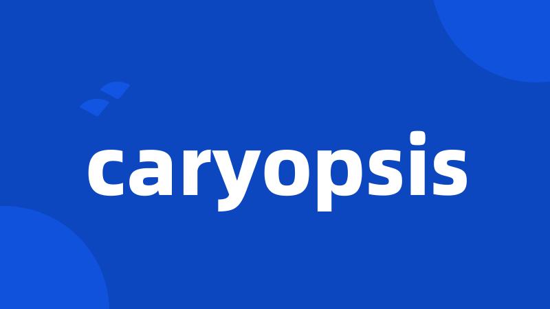 caryopsis