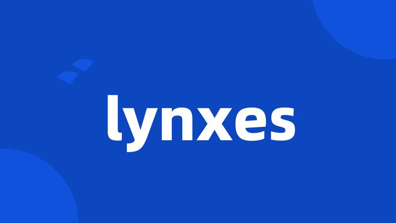 lynxes