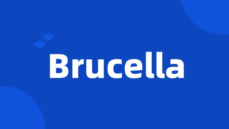 Brucella