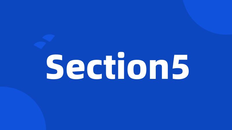 Section5