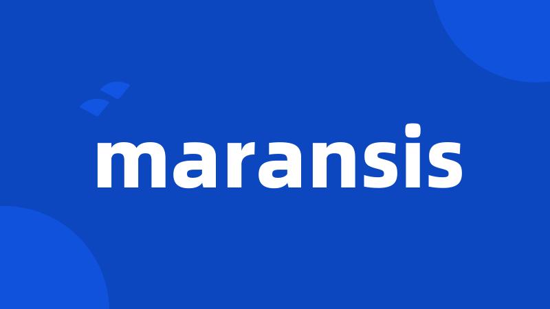 maransis