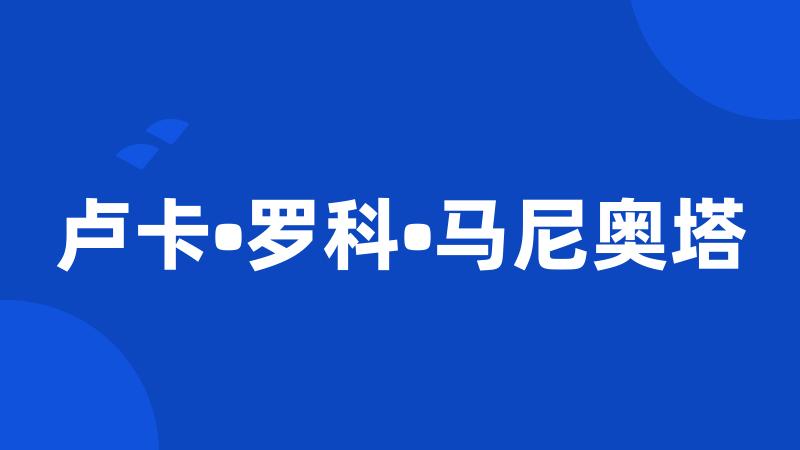 卢卡•罗科•马尼奥塔