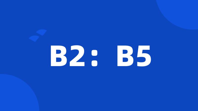 B2：B5