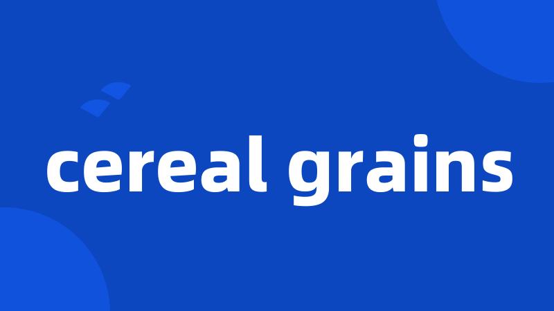 cereal grains