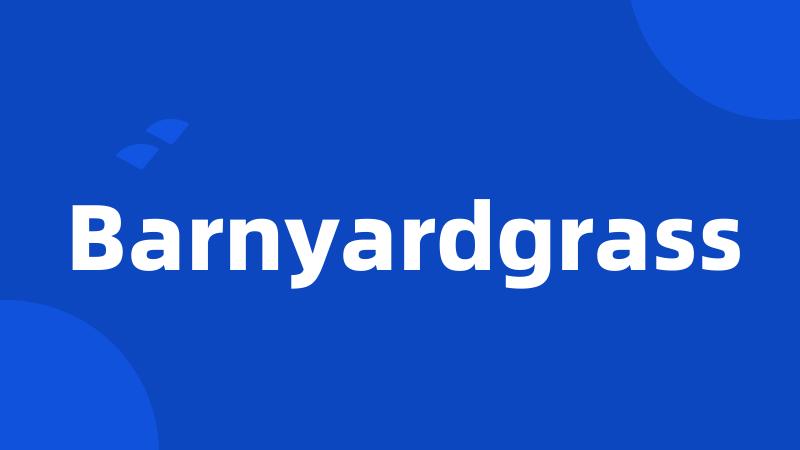 Barnyardgrass