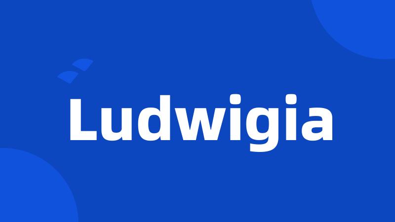 Ludwigia