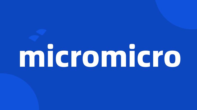 micromicro