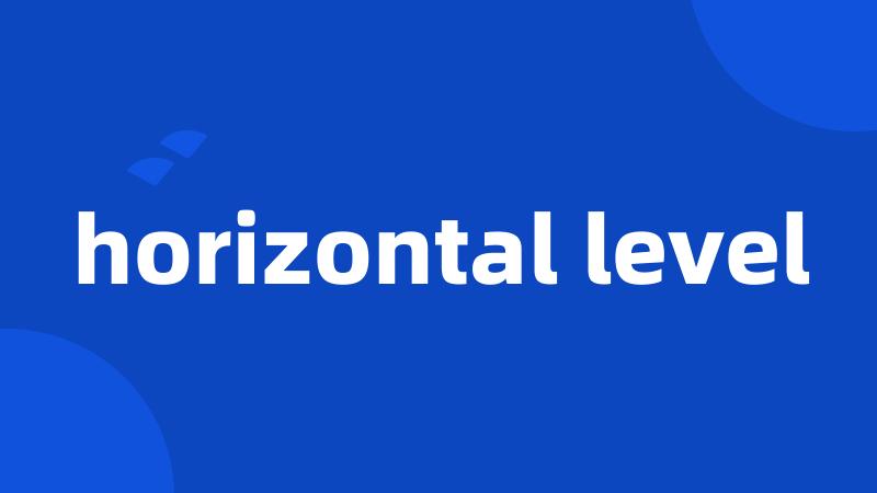 horizontal level