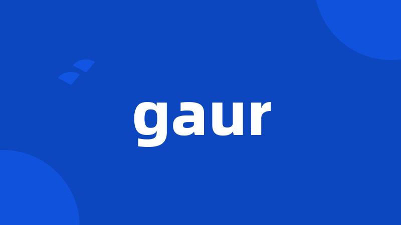 gaur