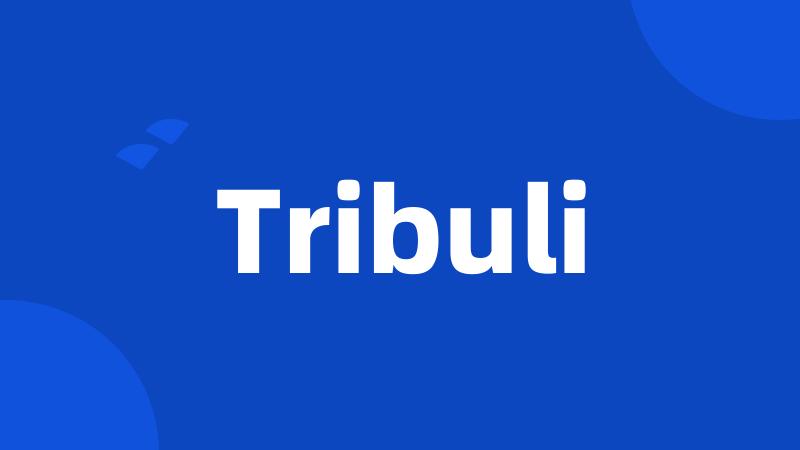 Tribuli