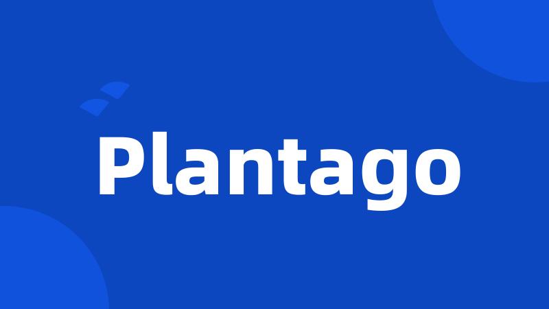 Plantago