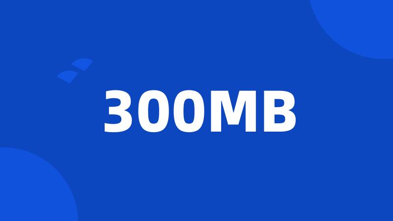 300MB