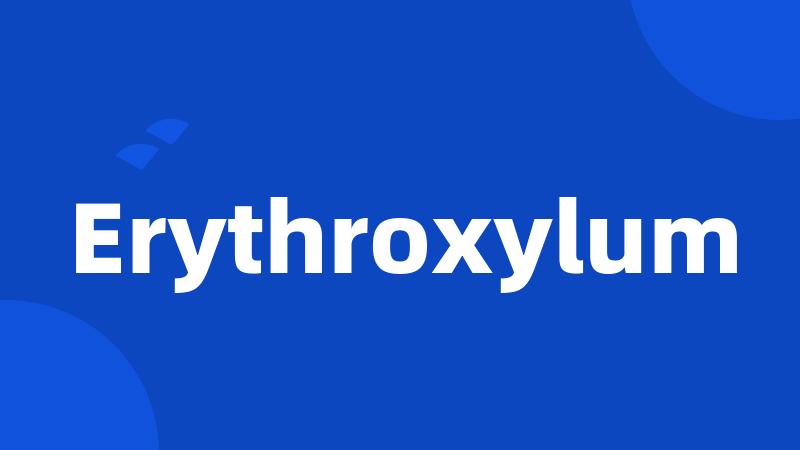 Erythroxylum