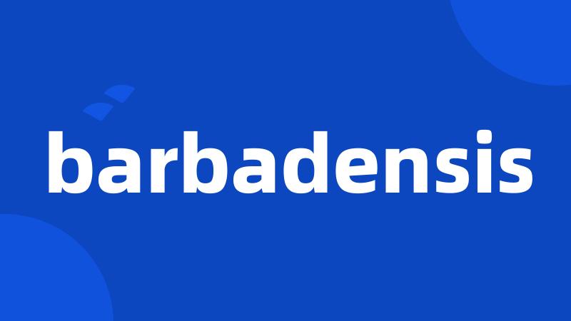 barbadensis