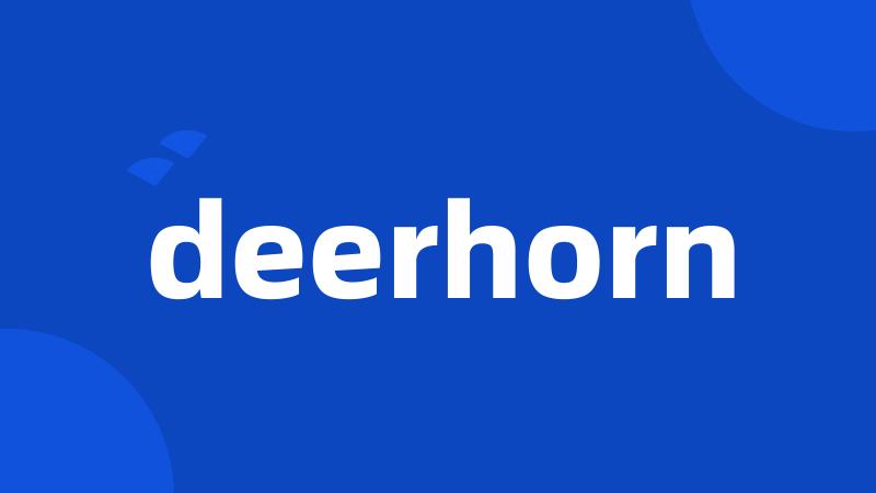 deerhorn