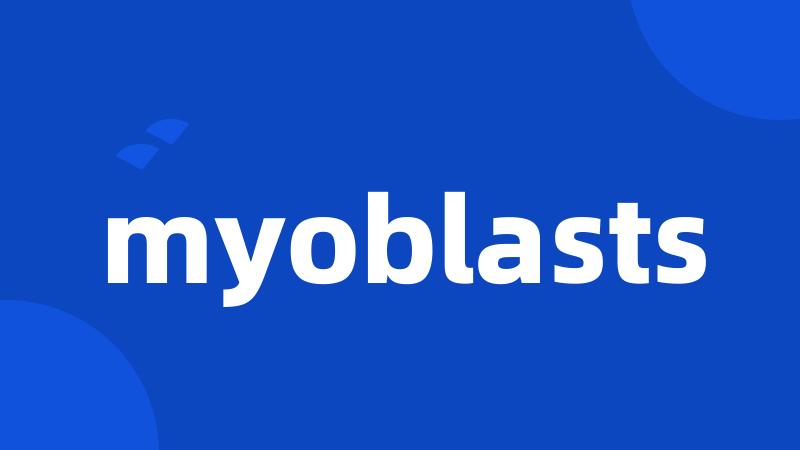 myoblasts