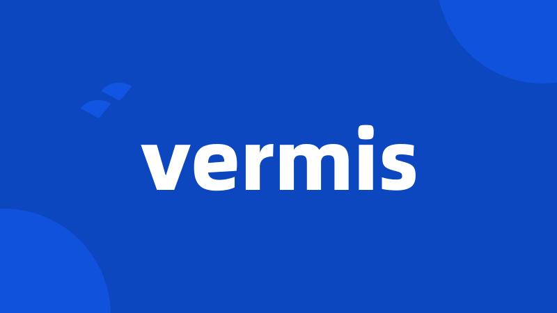 vermis