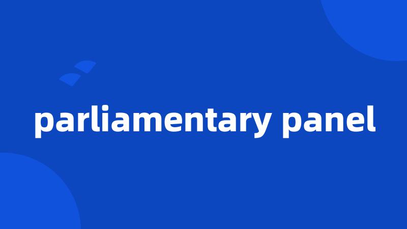 parliamentary panel