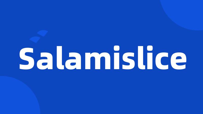 Salamislice