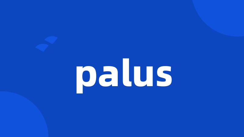 palus