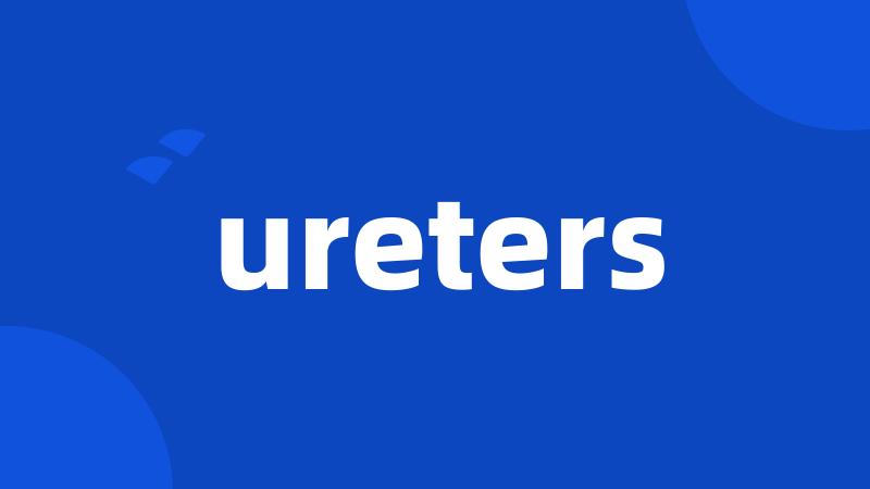 ureters