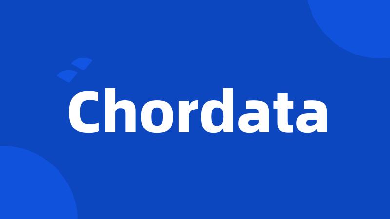 Chordata