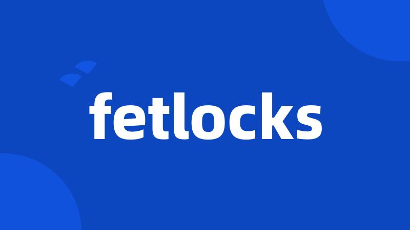 fetlocks