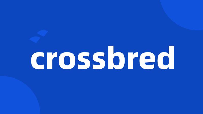 crossbred