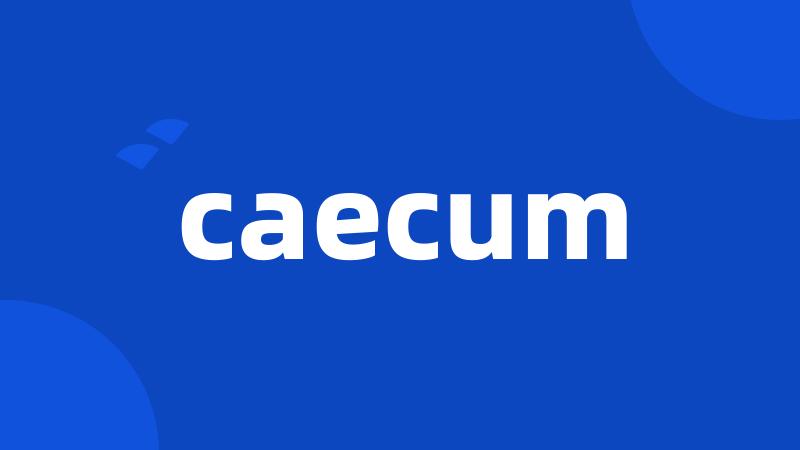 caecum