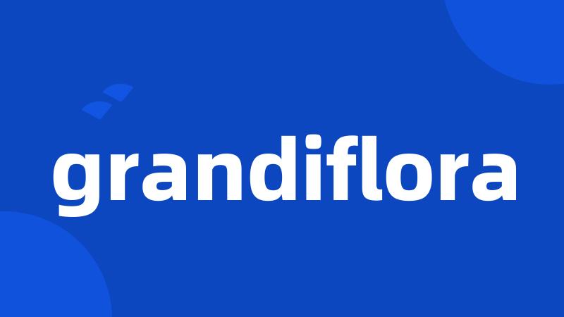 grandiflora