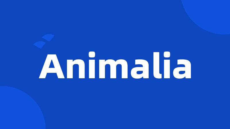 Animalia