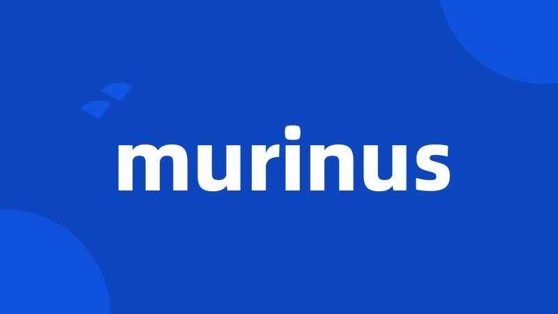 murinus