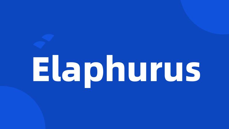 Elaphurus