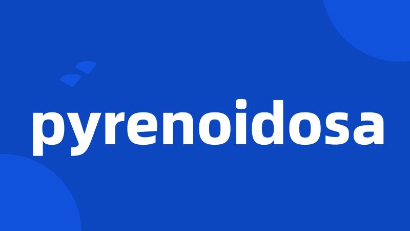pyrenoidosa