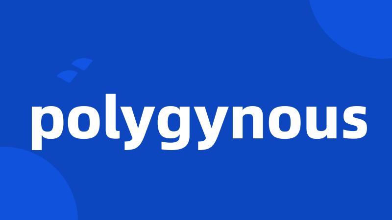 polygynous