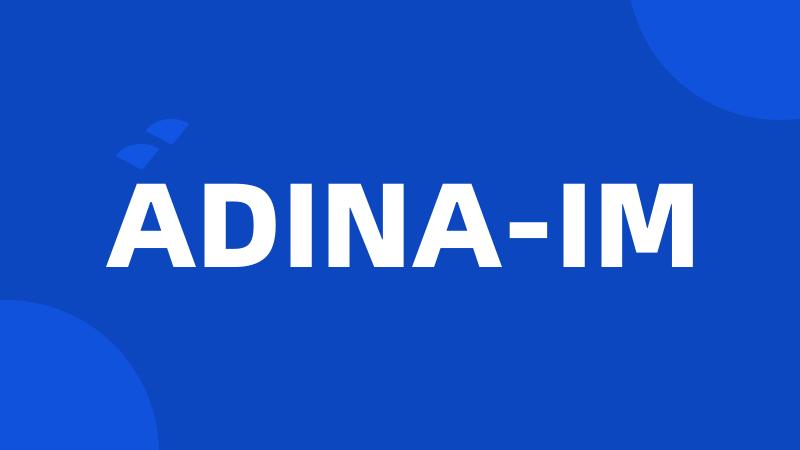 ADINA-IM