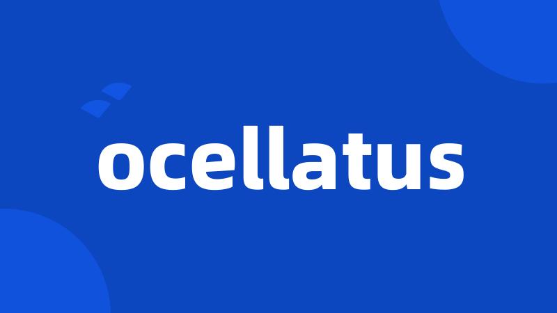 ocellatus