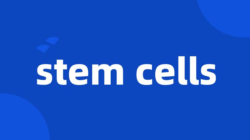 stem cells