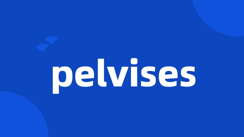 pelvises