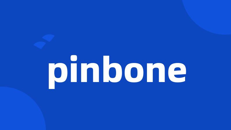 pinbone